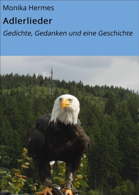 E-knjiga Adlerlieder Monika Hermes