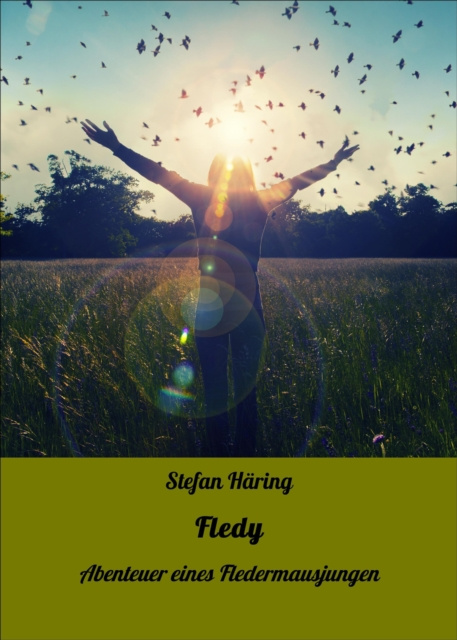 E-book Fledy Stefan Haring