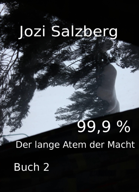 Libro elettronico 99,9 % - Buch 2 Jozi Salzberg