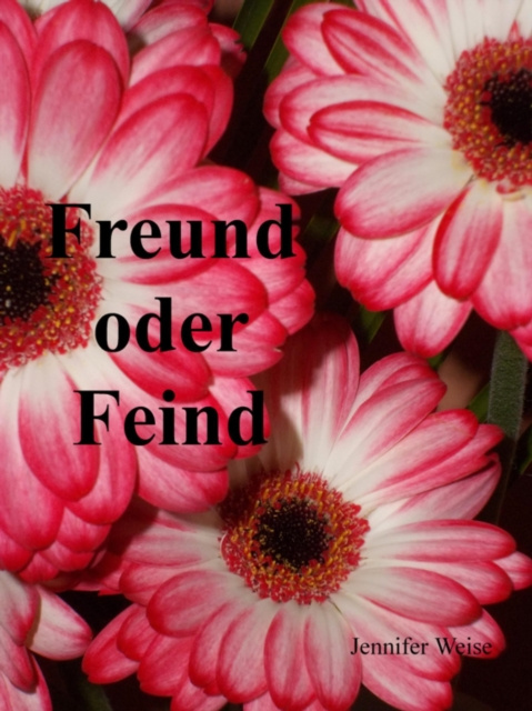E-knjiga Freund oder Feind Jennifer Weise