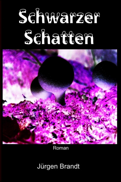E-knjiga Schwarzer Schatten Jurgen Brandt