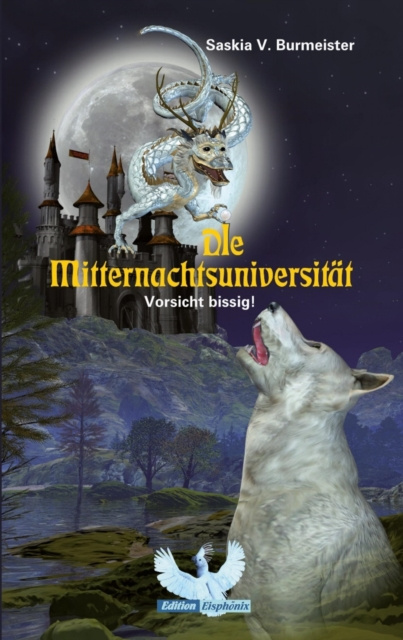 E-book Die Mitternachtsuniversitat Saskia Burmeister