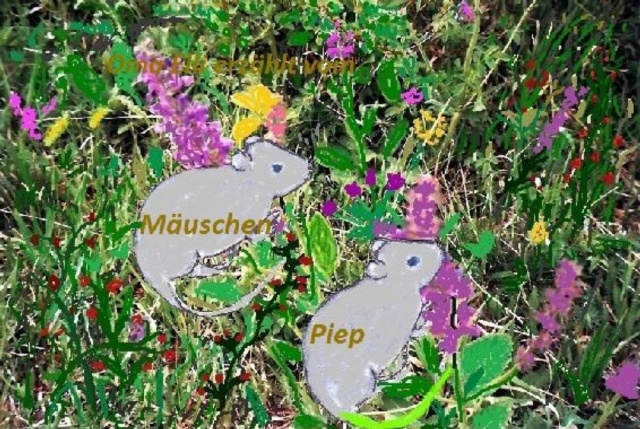 E-knjiga Mauschen Piep Elli Manteuffel