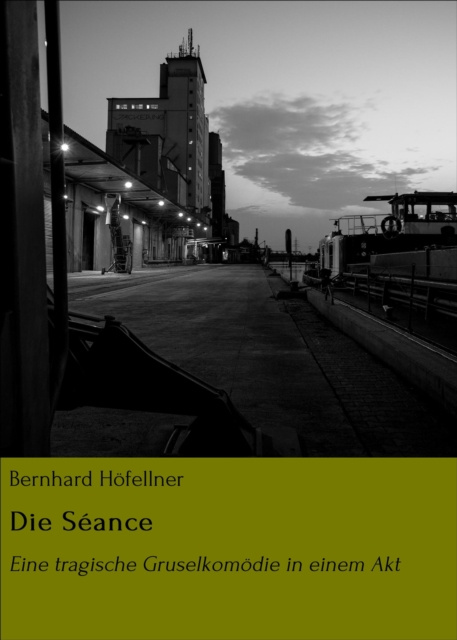 E-knjiga Die Seance Bernhard Hofellner