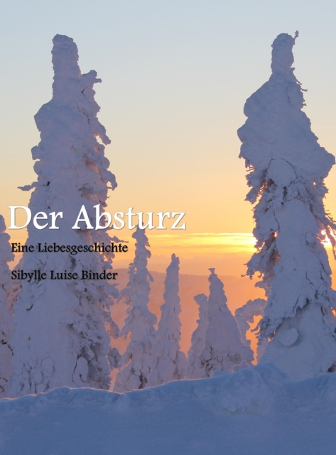 E-kniha Der Absturz Sibylle Luise Binder