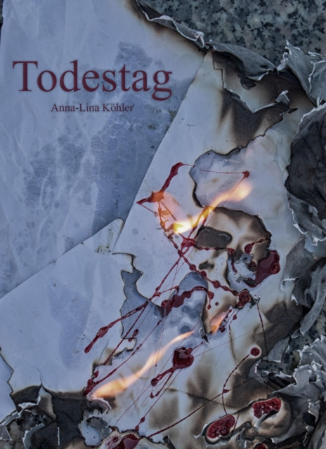 E-knjiga Todestag Anna-Lina Kohler