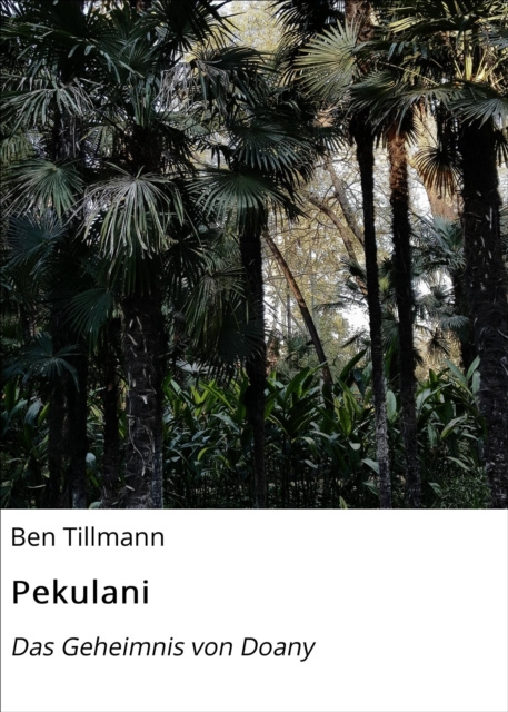 E-knjiga Pekulani Ben Tillmann