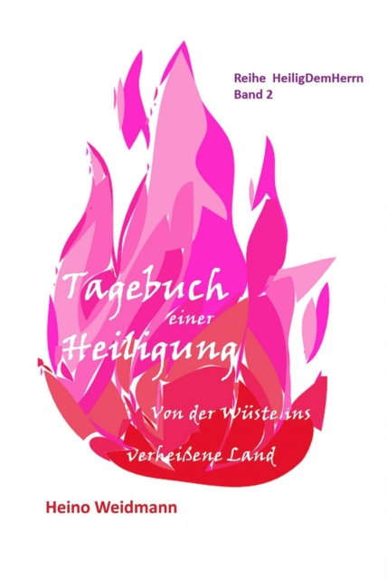 E-book Tagebuch einer Heiligung Heino Weidmann