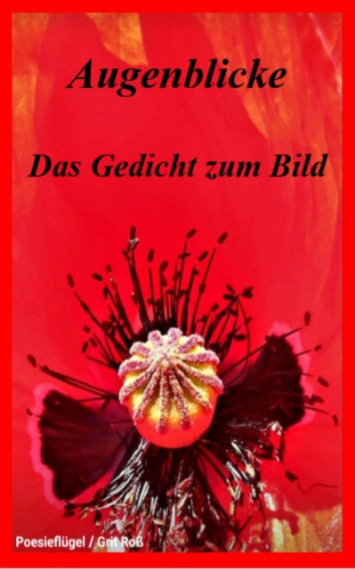 E-knjiga Augenblicke - Das Gedicht zum Bild Grit Ro