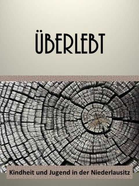 E-knjiga Uberlebt Marion Hein