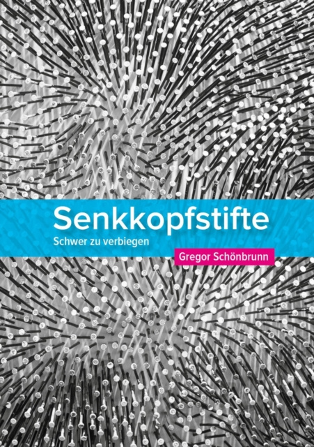 E-knjiga Senkkopfstifte Gregor Schonbrunn