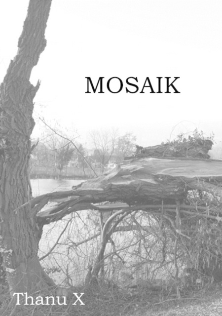 E-knjiga Mosaik Thanu X