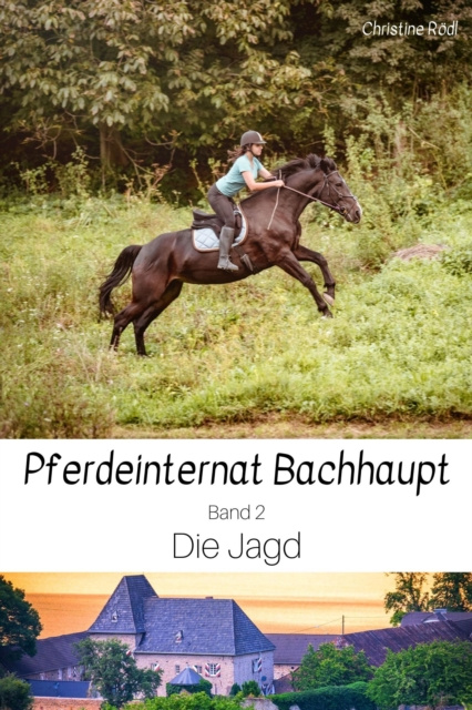 E-knjiga Die Jagd Christine Rodl