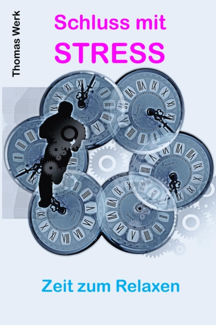 E-knjiga Schluss mit STRESS Thomas Werk