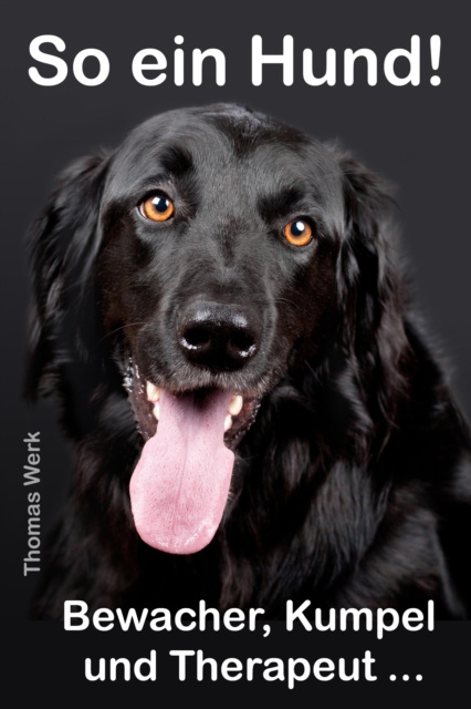 E-knjiga So ein Hund Thomas Werk