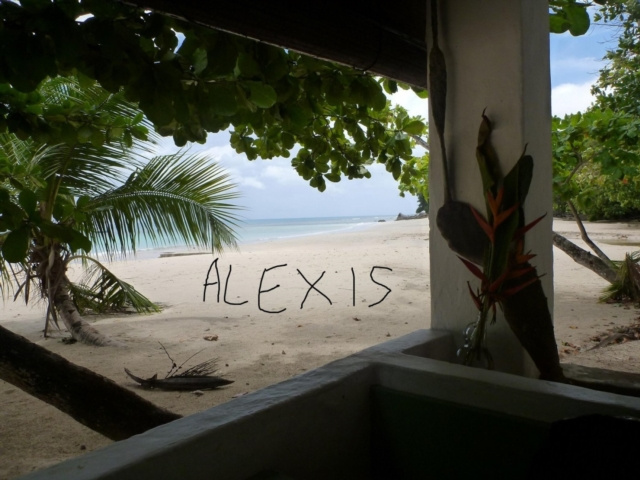 E-knjiga Alexis Ein Mensch