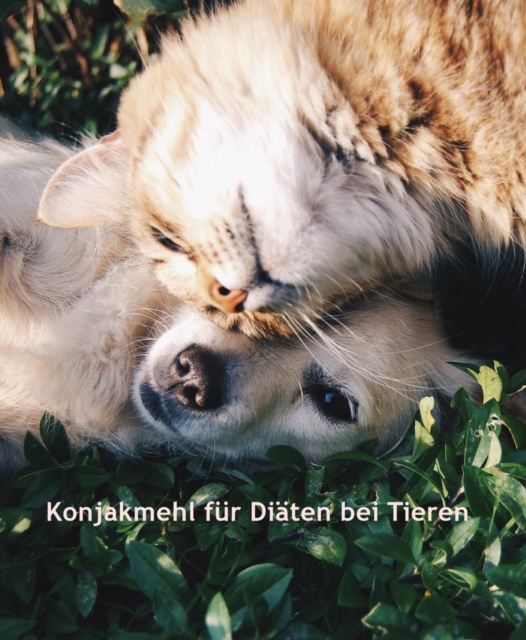 E-knjiga Konjakmehl fur Diaten bei Tieren C. C. Bruchert