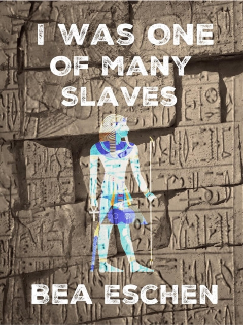 E-knjiga I Was One Of Many Slaves Bea Eschen