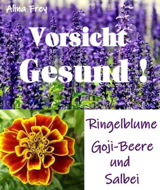 E-knjiga Vorsicht Gesund!! Alina Frey