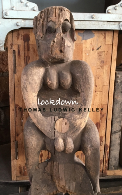 E-knjiga Lockdown Thomas Ludwig-Kelley