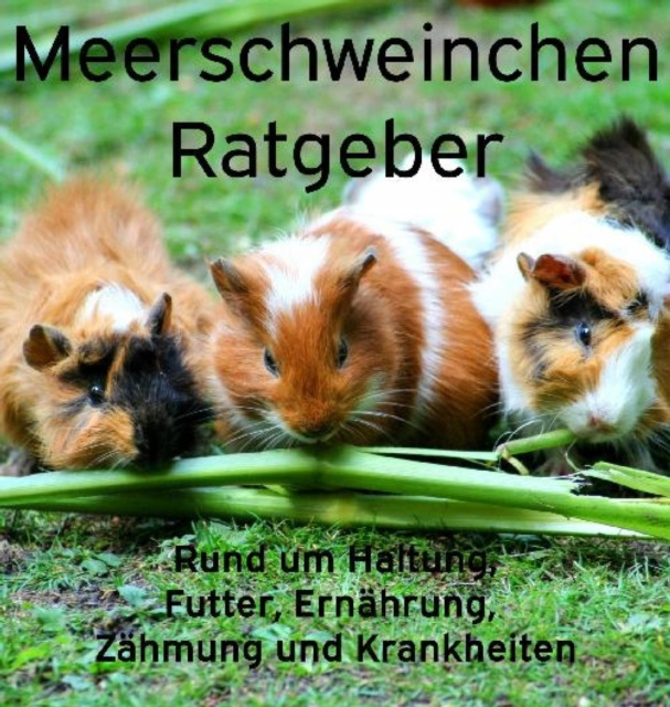 E-kniha Meerschweinchen Ratgeber. Powerlifting check