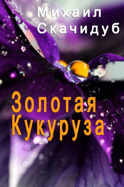 E-book z   z        s   s Mikhail Skachidub