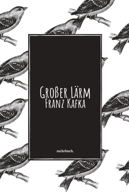 E-knjiga Groer Larm Franz Kafka