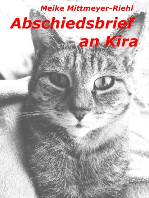 E-kniha Abschiedsbrief an Kira Meike Mittmeyer-Riehl