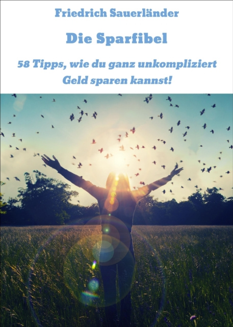 E-knjiga Die Sparfibel Friedrich Sauerlander