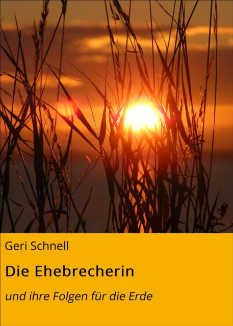 E-knjiga Die Ehebrecherin Geri Schnell