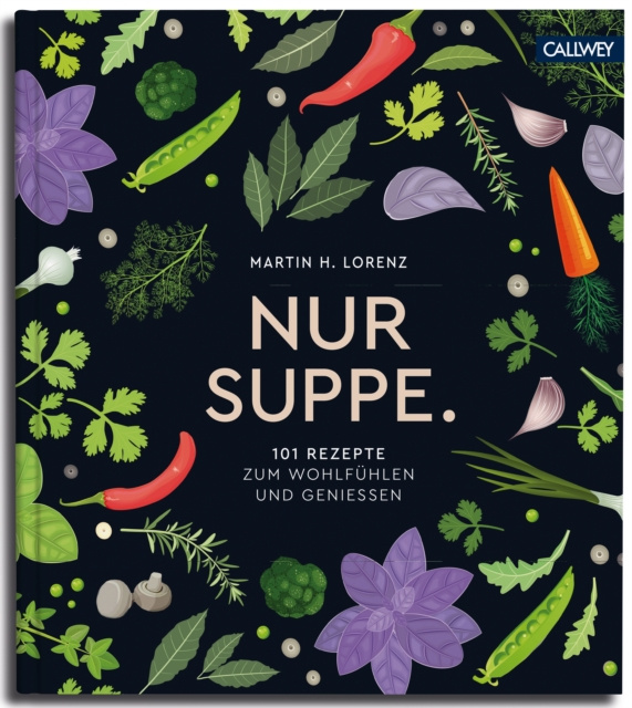 E-book Nur Suppe. Martin H. Lorenz