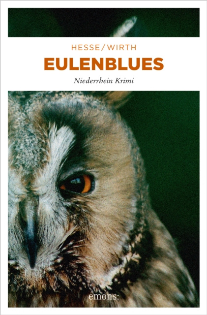 E-book Eulenblues Thomas Hesse
