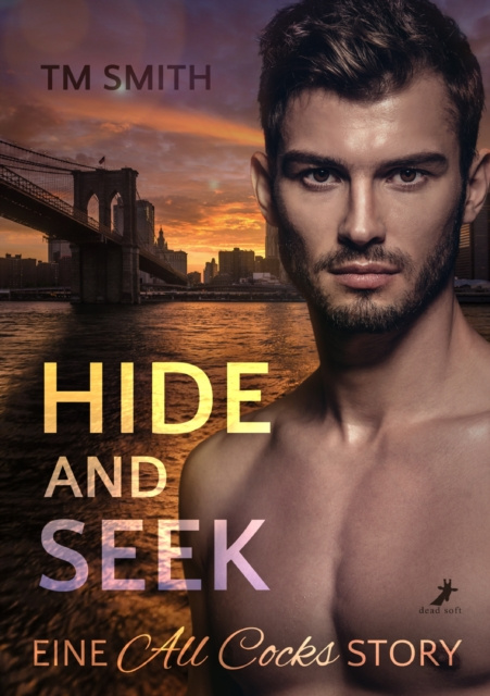 E-book Hide and Seek TM Smith