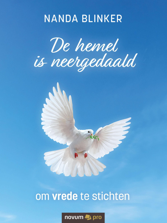 E-knjiga De hemel is neergedaald Nanda Blinker