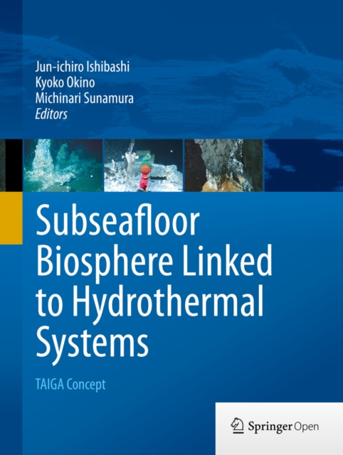 E-kniha Subseafloor Biosphere Linked to Hydrothermal Systems Jun-ichiro Ishibashi