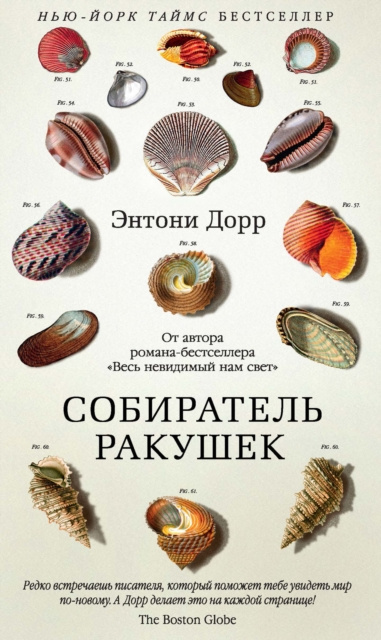 E-book shell collector Anthony Doerr