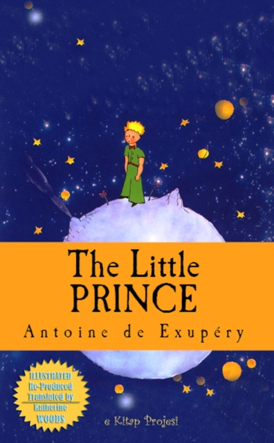 Livre numérique Little Prince Antoine De Saint Exupery