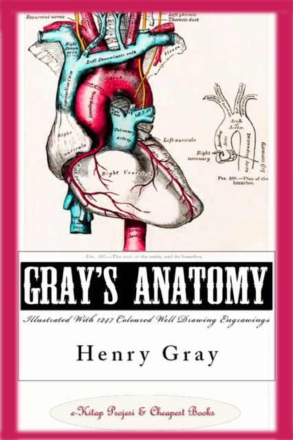 E-kniha Gray's Anatomy (Illustrated With 1247 Coloured Well Drawing Engrawings) Henry Gray