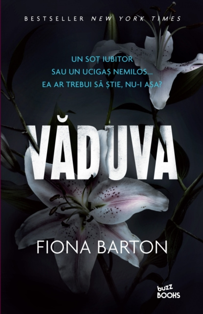 E-book Vaduva Fiona Barton