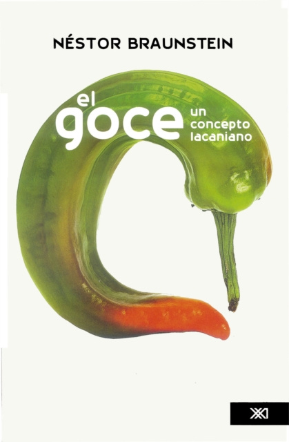 E-Book El Goce Nestor A. Braunstein