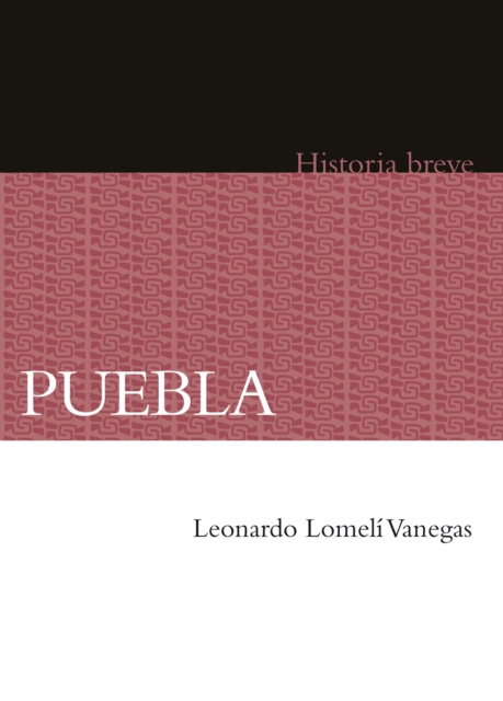E-book Puebla Leonardo Lomeli Vanegas