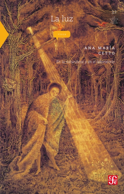 E-book La luz Ana Maria Cetto