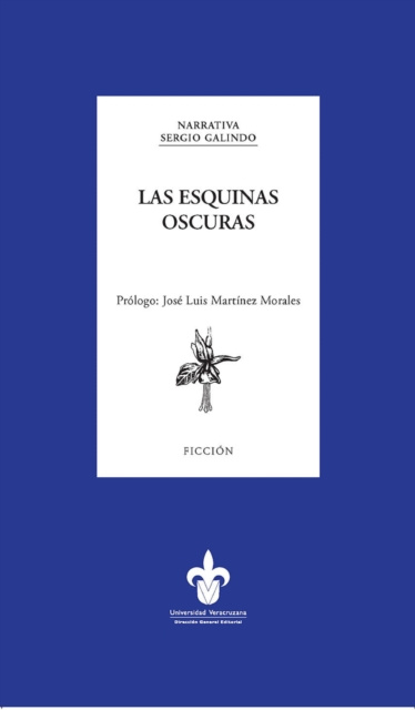 E-Book Las esquinas oscuras Sergio Galindo