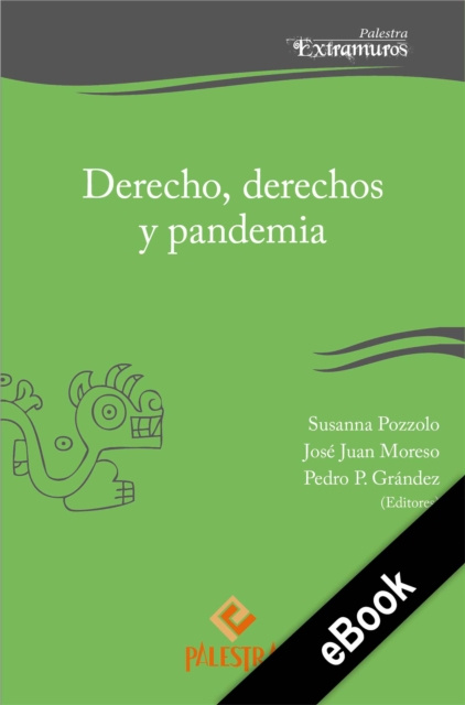 E-Book Derecho, derechos y pandemia Susanna Pozzolo
