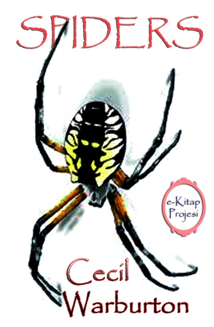 E-book Spiders Cecil Warburton