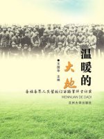 E-kniha Warm Land Wang Guohua