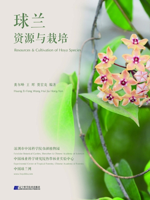 E-kniha Hoya Huang Erfeng