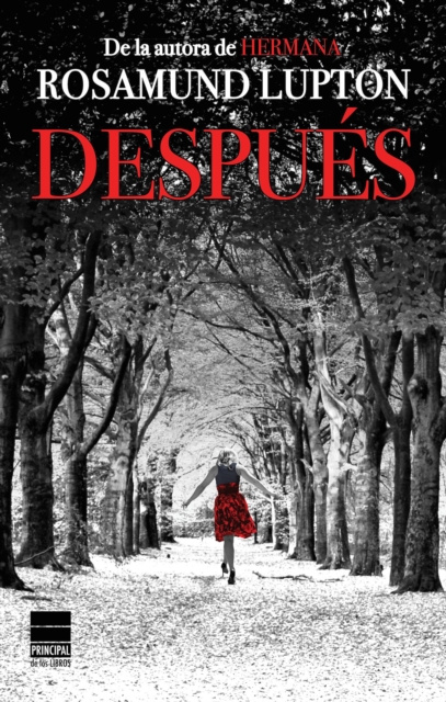 E-book Despues Rosamund Lupton