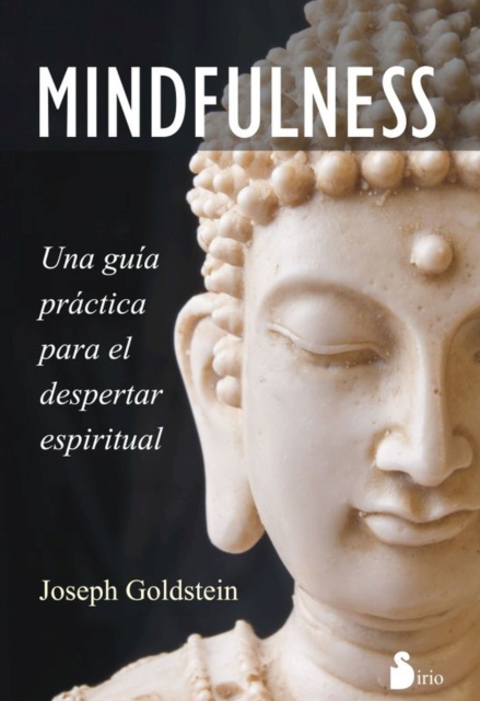E-kniha Mindfulness Joseph Goldstein