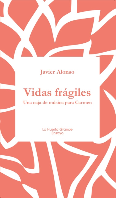E-book Vidas fragiles Javier Alonso